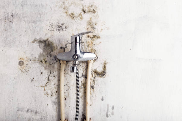 Best Water Damage Restoration  in Osceola, AR