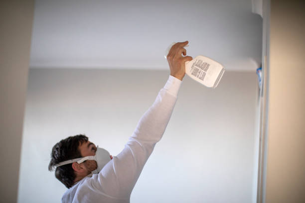 Best Mold Cleaning Services  in Osceola, AR